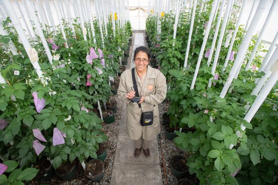 Woman standing in greenhouse. 