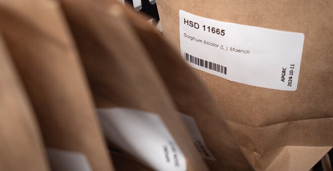 From War Zones to Typhoon-Prone Shores, Nations Rally to Protect Their Crops, Make Landmark Deposits to the Svalbard Global Seed Vault