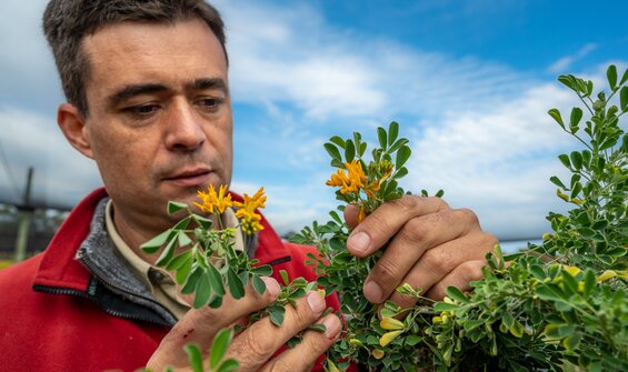 BOLD Frequently Asked Questions