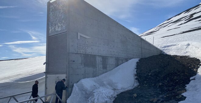 Heritage and Health Take Center Stage at the Latest Svalbard Global Seed Vault Deposit