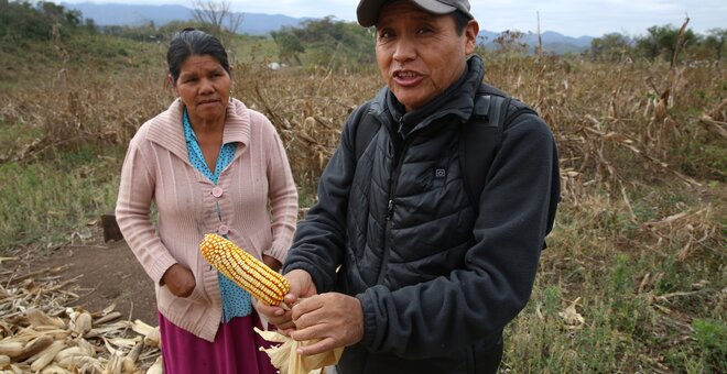 400-Year-Old Bolivian Newcomer Ships Seeds to Svalbard