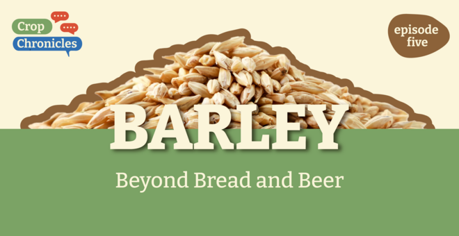 Crop Chronicles Podcast: Barley - Beyond Bread and Beer