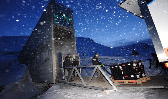 Safety Duplication at Svalbard Global Seed Vault