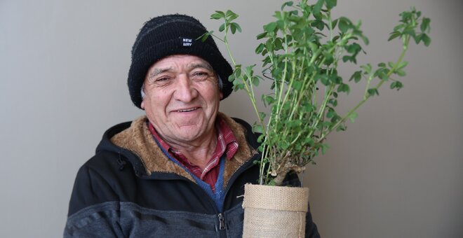 Kauke Alfalfa Gives Farmers’ Livelihoods a Boost in Chile’s Central Valley