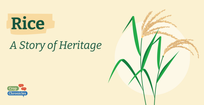 Rice: A Story of Heritage