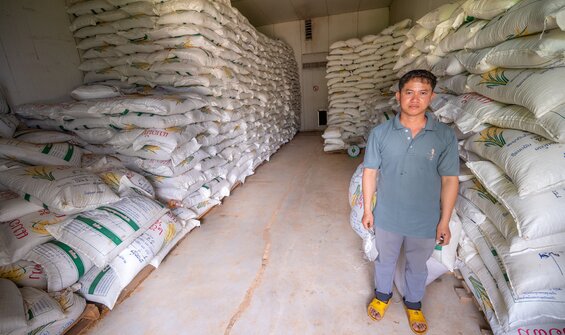 Genebanks and Seed Systems