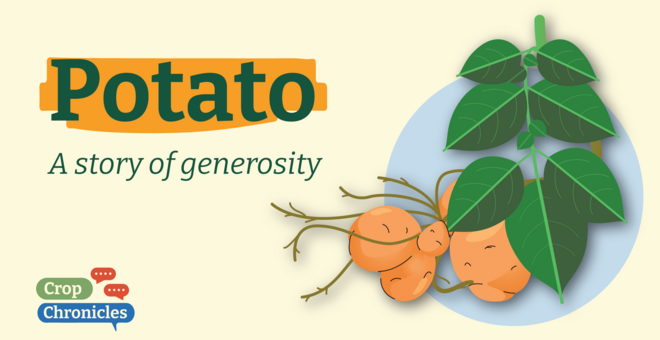 Potato: a Story of Generosity