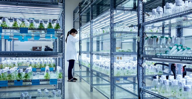 Crop Trust and the Plant Treaty Launch Lifeline for Genebanks to Secure the Future of Crop Diversity