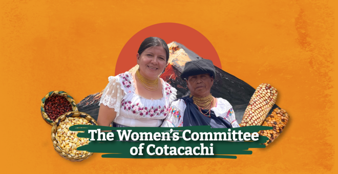 The Women’s Committee of Cotacachi: Guardians of the Chakras